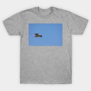 Osprey_VOA7583 T-Shirt